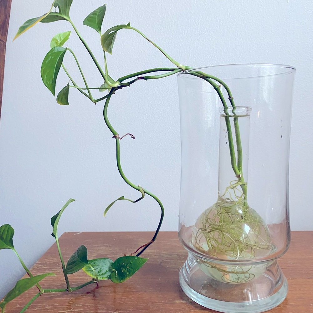 Two piece bud vase.